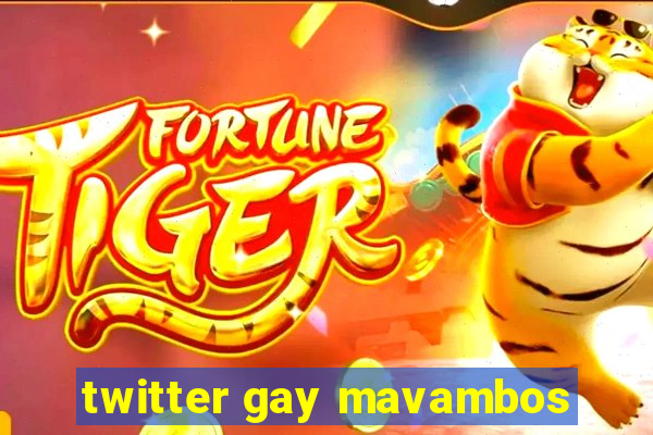 twitter gay mavambos